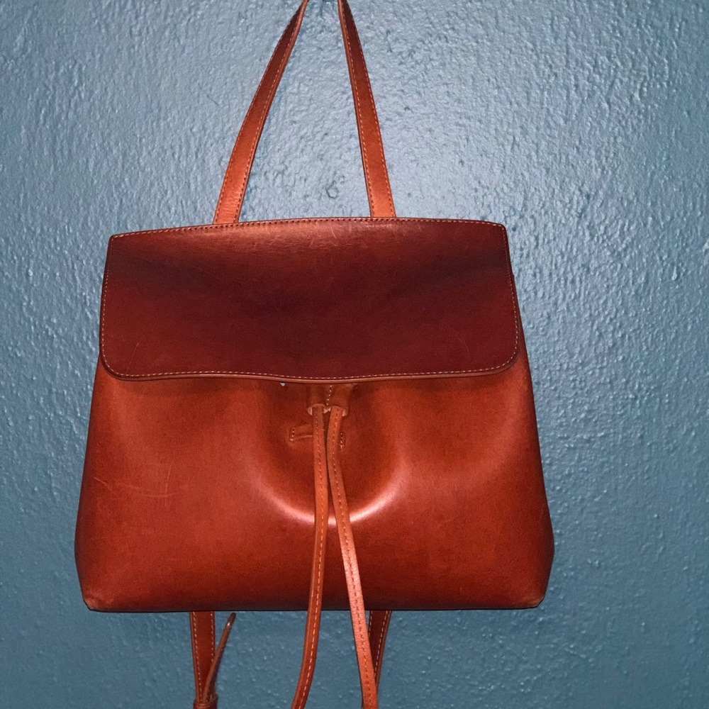 Mansur Gavriel Brandy Lady Bag